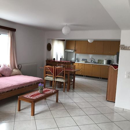 Marina'S Home Konitsa Dış mekan fotoğraf